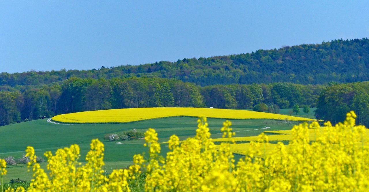 Gasthof Restaurant Grüner Baum Leidersbach